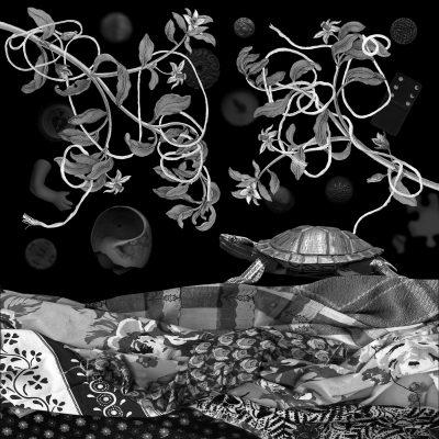 Turtle and Flowers, 2019, 30x30, digital collage.