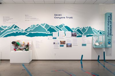 Confluence calls on six local groups to examine the essential component of water through their unique and vital lenses.