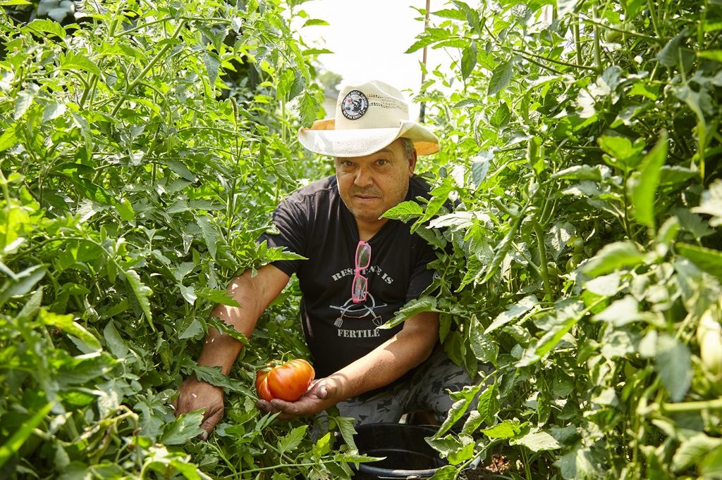 Fresh Fruit for Plotting Vegetables: Al Grossi, The Punk Rock Farmer