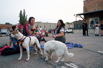 Some four-legged friends at the August SLUG Picnic.