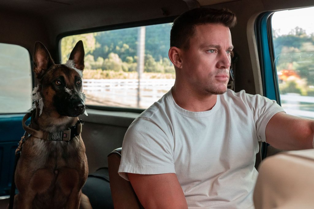 Film Review: Dog