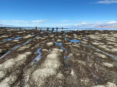 The GSLI has taught us, and will continue to teach us, that the Great Salt Lake manages sincerely to be the best of both worlds: It is lovely and it is the salt of the Earth. Photo courtesy of the Great Salt Lake Institute