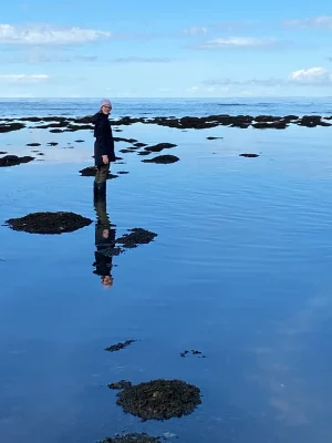 The GSLI dives deeper, consistently finding that beauty is embedded in the very nature of the water and the complexity of its ecosystem’s inner workings.