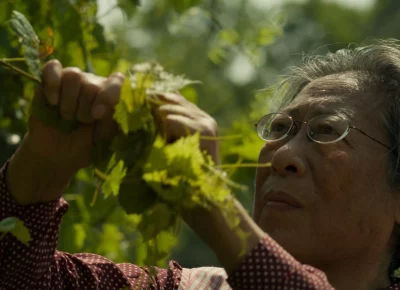 A grey-haired and bespectacled individual stands in a forested area, pulling at a branch and inspecting it's leaves.