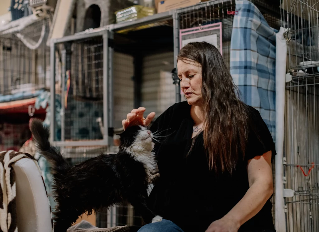 Whiskers: Giving Second Chances To Cats In Need