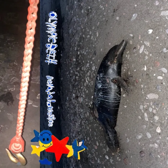 Album cover with dead dolphin on it.