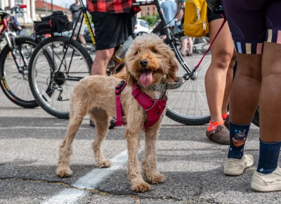 Dogs are welcome at SLUG Cat, too! Photo: Ashley Christenson.
