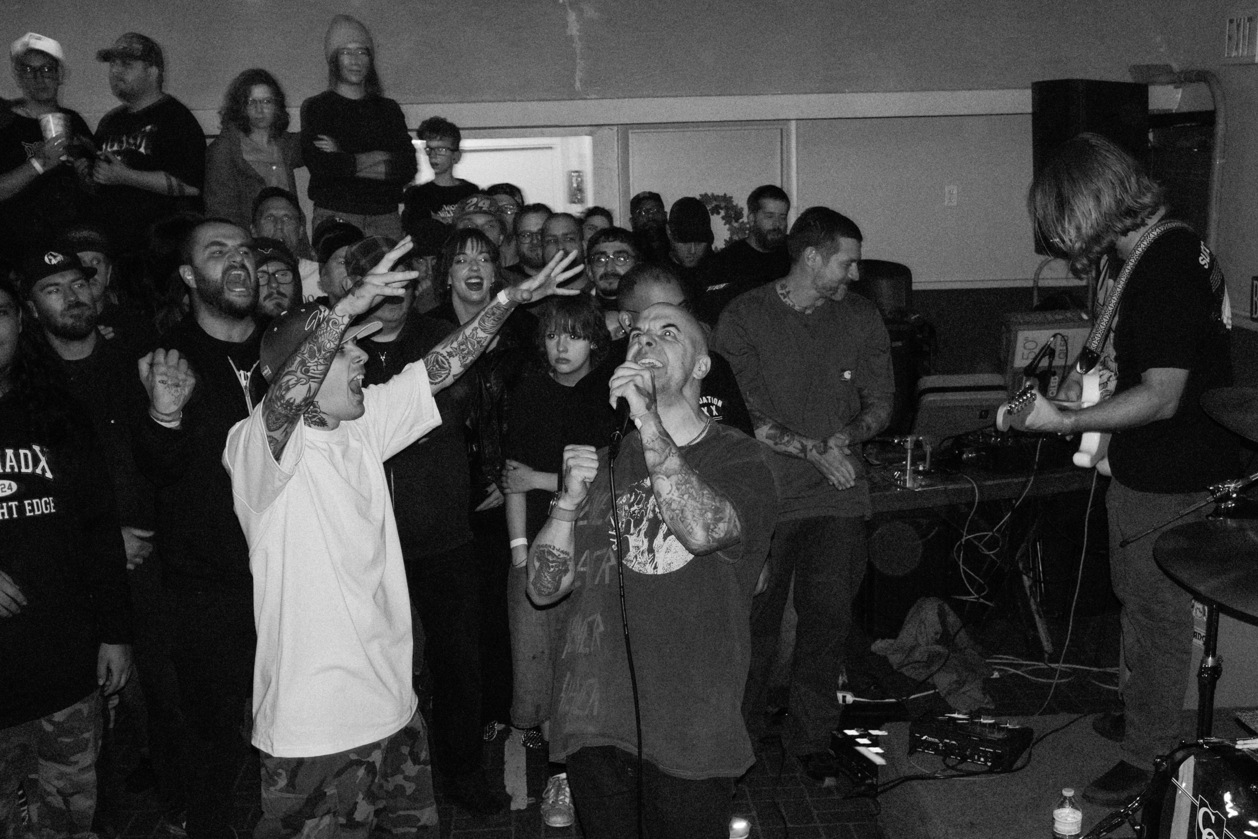 Crowd gathers as Pushing Up Daisies performs.