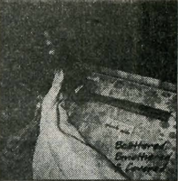 Stiff Sheet. Issue 83. November 1995.