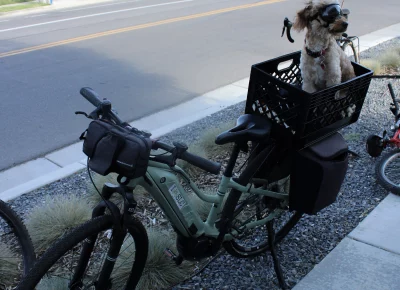 Of course furry friends were also there to take part. Photo: India Mendoza